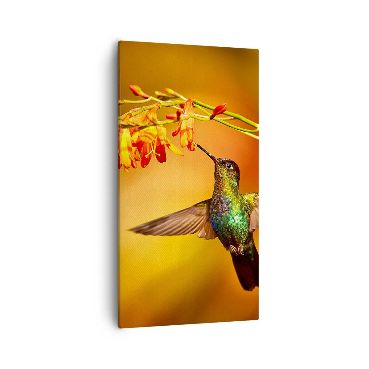 Canvas picture - Messenger of Light according to the Mayans - 55x100 cm