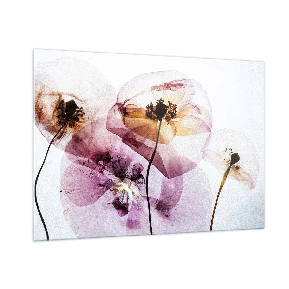 Glass picture - Flower Body Slide - 100x70 cm