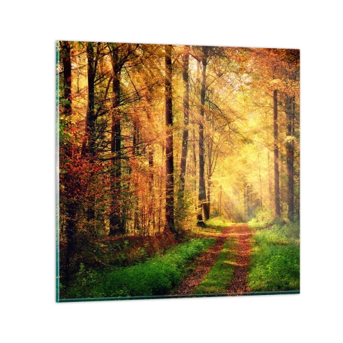 Glass picture - Forest Golden silence - 40x40 cm