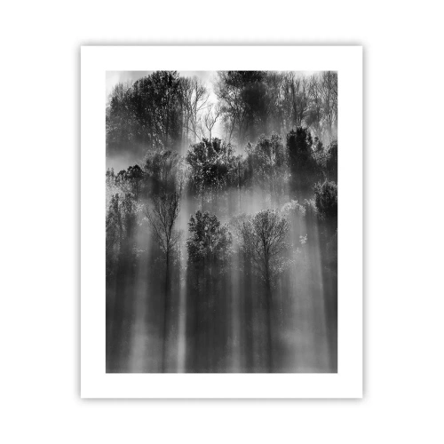 Poster - In the Streams of Light - 40x50 cm