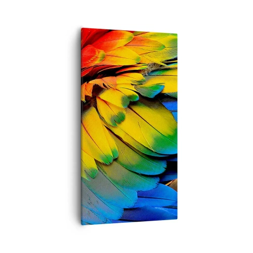 Canvas picture - Bird Of Paradise - 55x100 cm