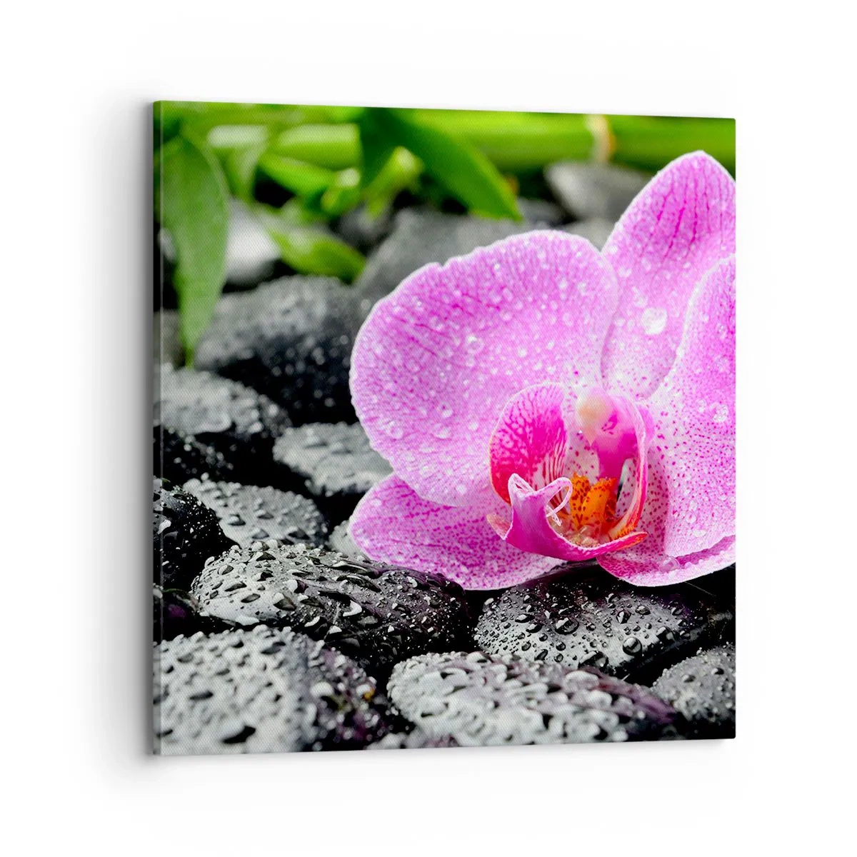 Canvas picture - Like an Open Heart - 70x70 cm