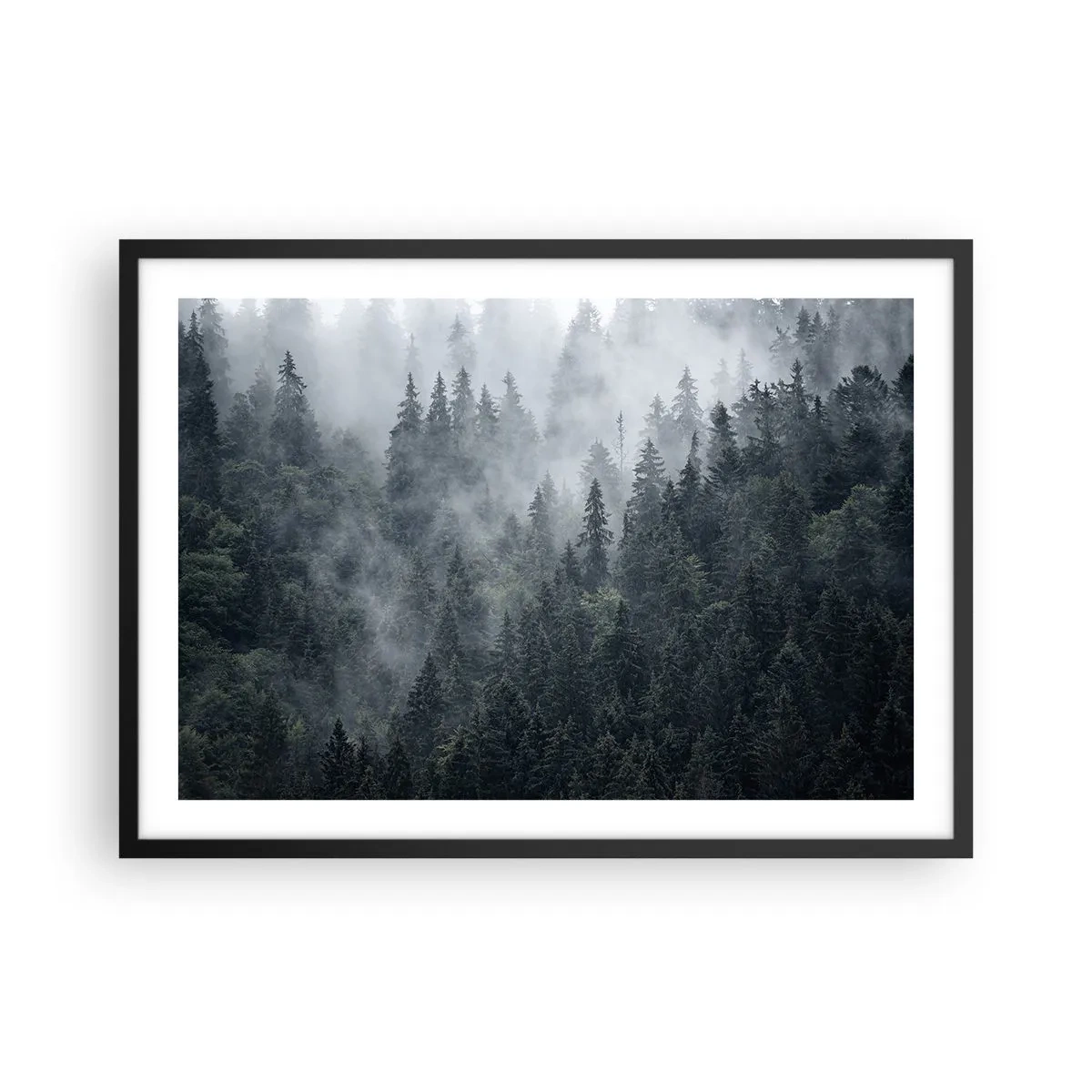 Poster in black frame - Forest World - 70x50 cm