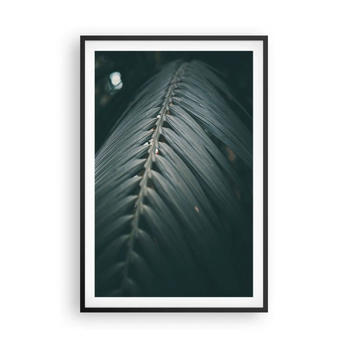 Poster in black frame - Precision of Nature - 61x91 cm