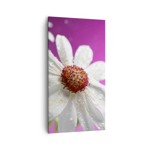 Canvas picture - Modest in Its Beauty - 55x100 cm