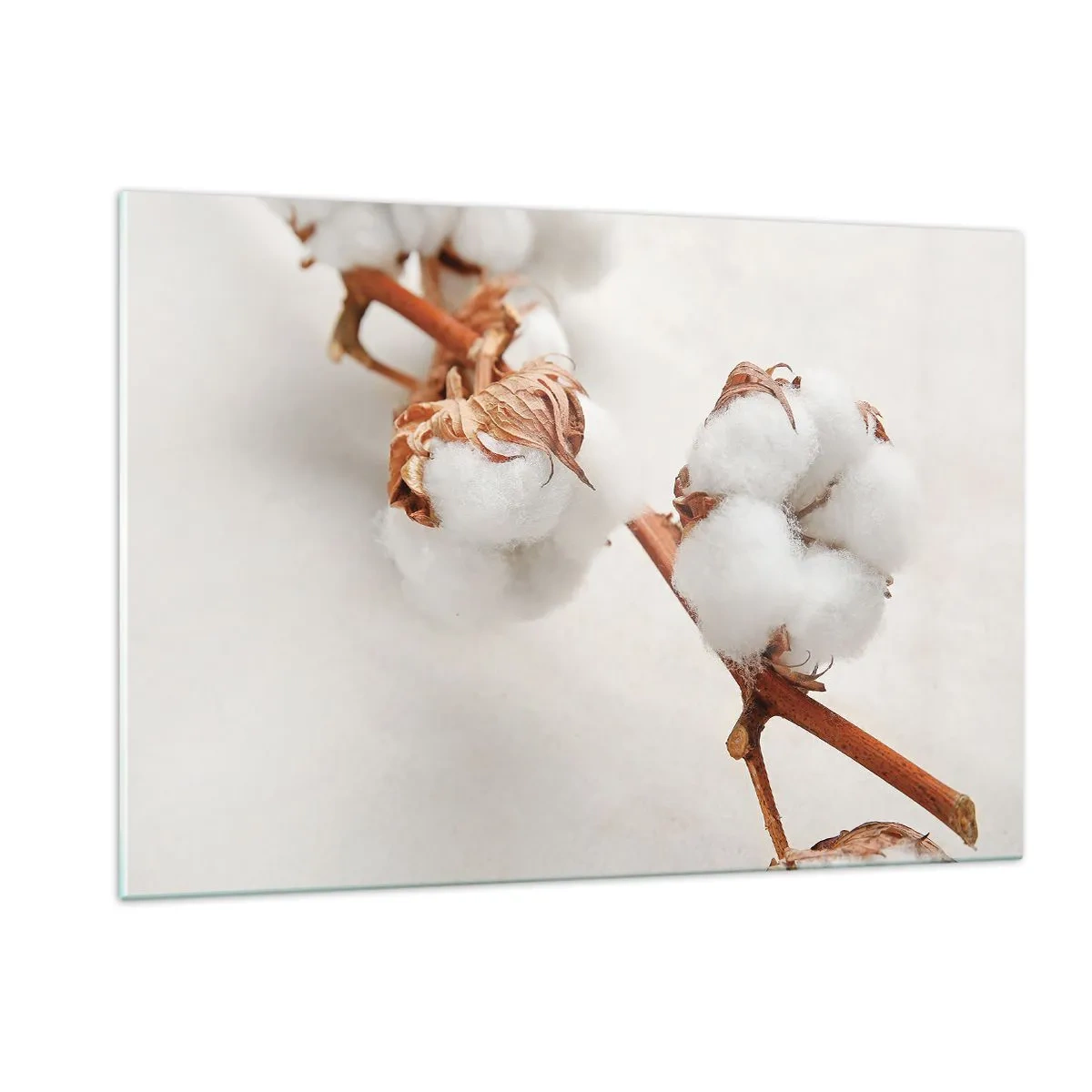 Glass picture - Just Cuddle It - 120x80 cm