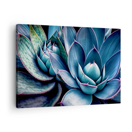 Canvas picture - Agave in shades of blue and green with pink accents - 70x50cm - Vital Strength - Modern wall decoration for the living room and bedroom ARTTOR