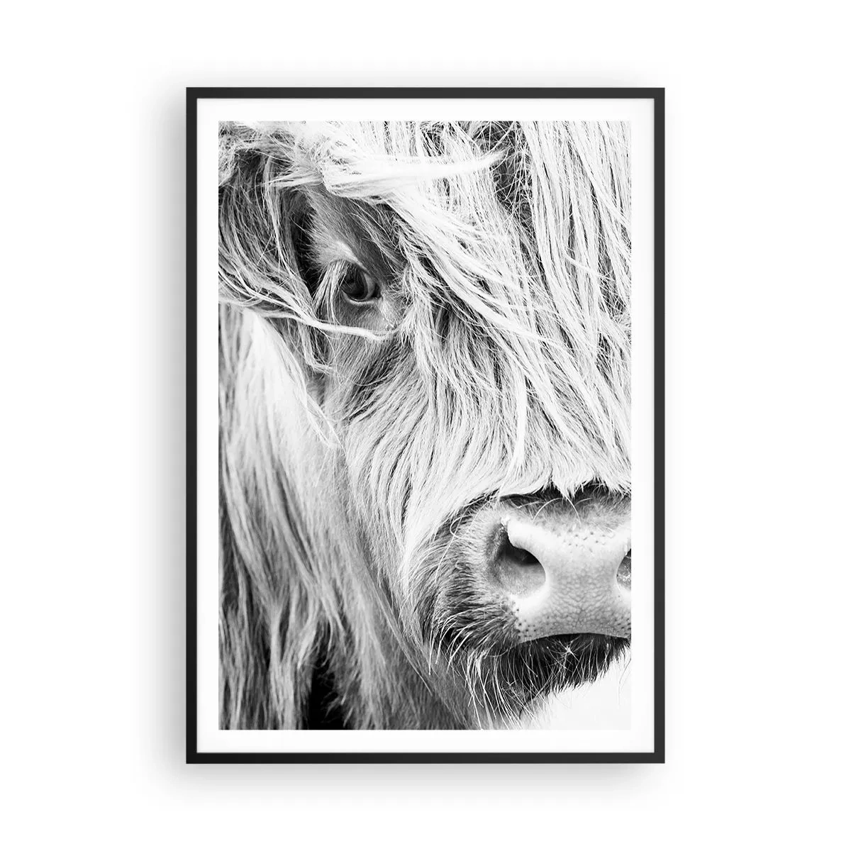 Poster in black frame - Scottish Wilderness - 70x100 cm