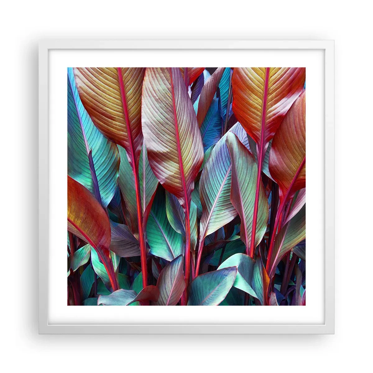 Poster in white frmae - Colourful Thicket - 50x50 cm