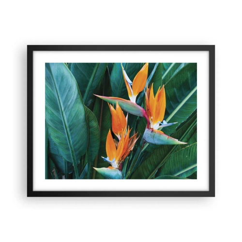 Poster in black frame - Is It a Flower or a Bird? - 50x40 cm