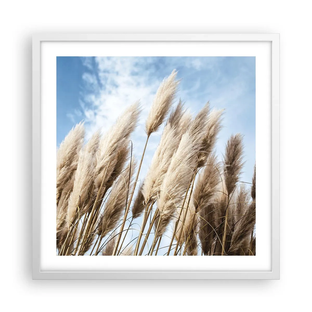 Poster in white frmae - Caress of Sun and Wind - 50x50 cm