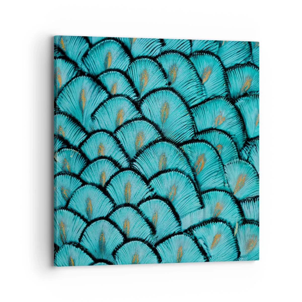 Canvas picture - Great Feather Gala - 70x70 cm