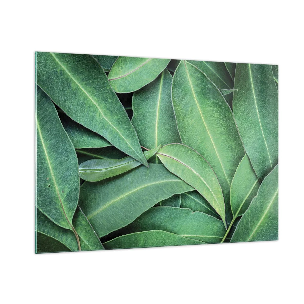 Glass picture - Juicy and Fresh - 100x70 cm