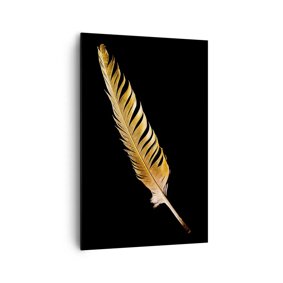 Canvas picture - High-Class Feather - 80x120 cm