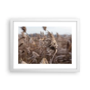 Poster in white frmae - Time to Fly with the Wind - 40x30 cm