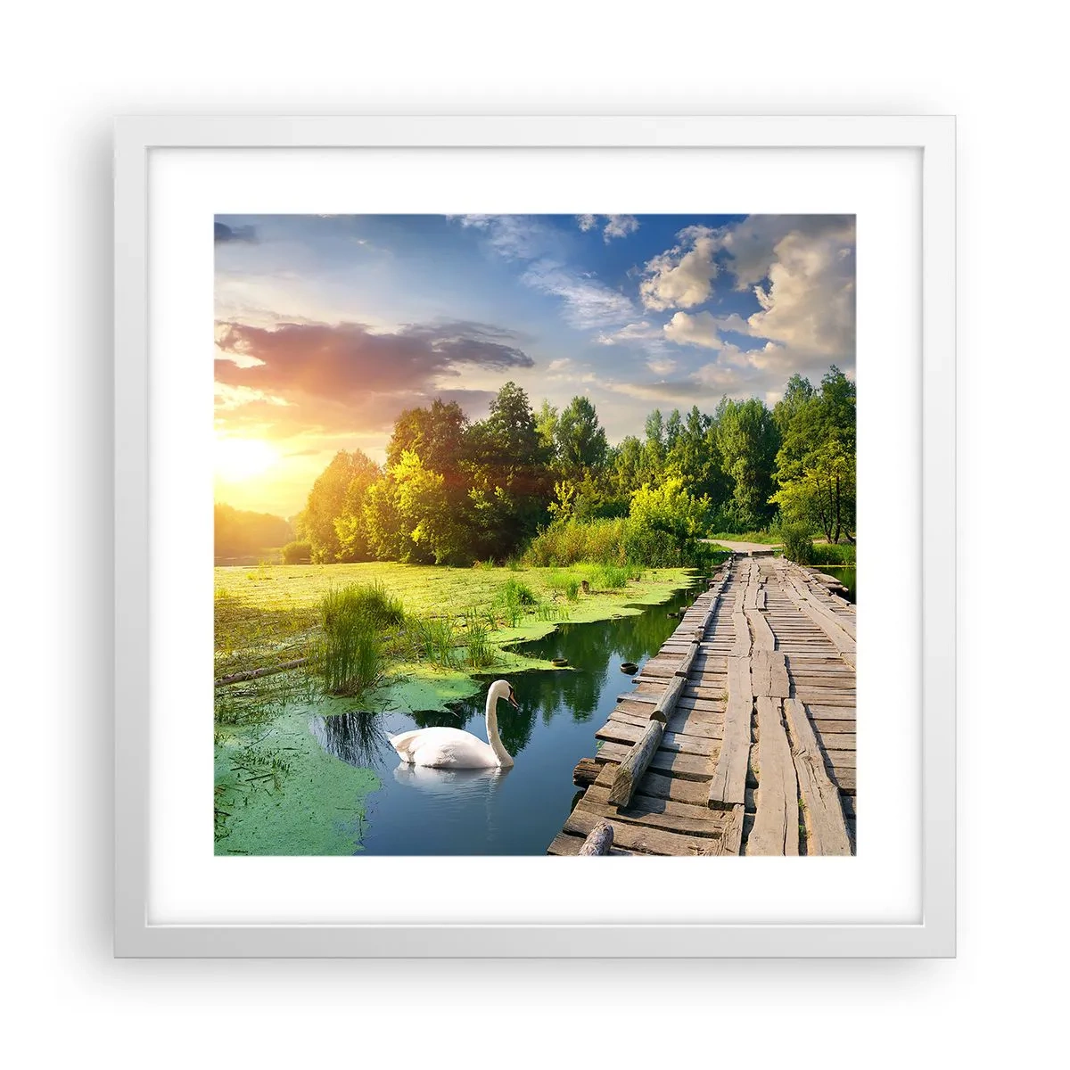 Poster in white frmae - Summer Everywhere - 40x40 cm