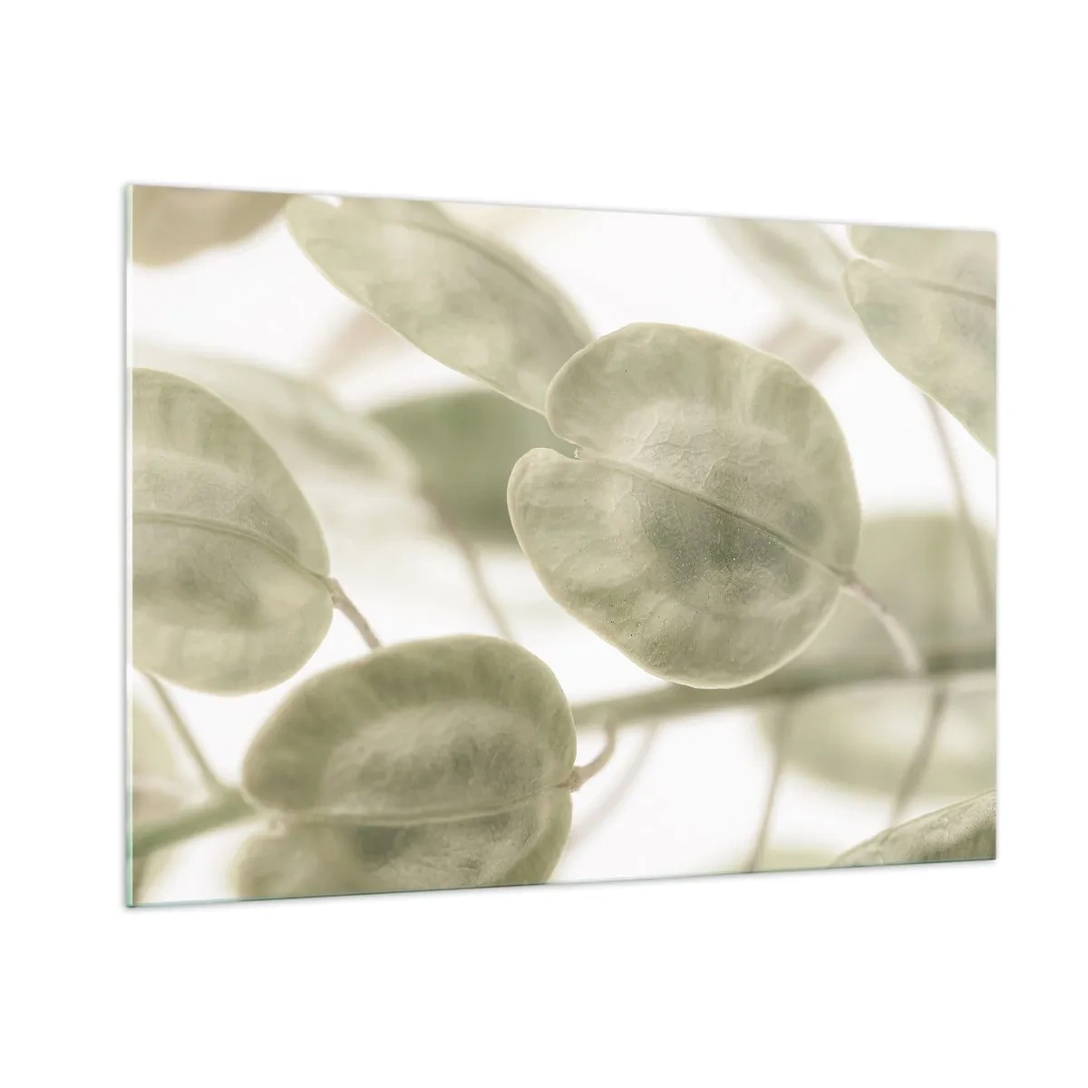 Glass picture - In the Beginning There Were Leaves… - 100x70 cm