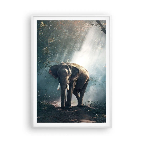 Poster in white frmae - Quiet Stroll - 70x100 cm