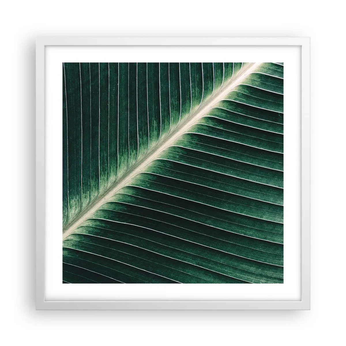 Poster in white frmae - Rhythm of Nature - 50x50 cm