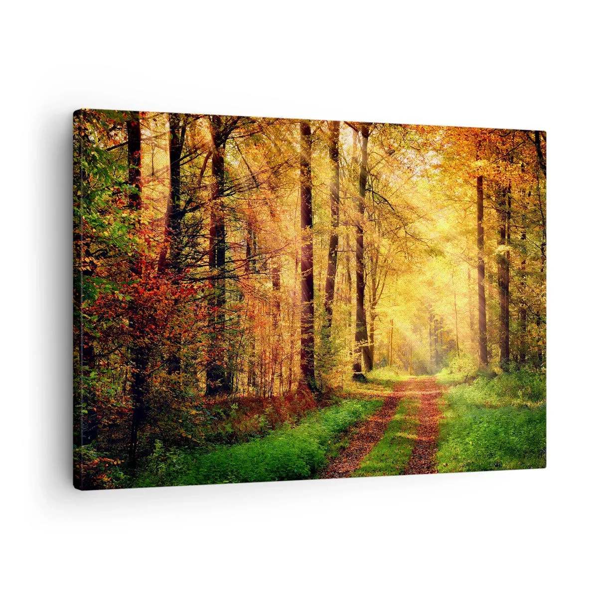Canvas picture - A forest path surrounded by golden and green trees - 70x50cm - Forest Golden silence - Modern wall decoration for the living room and bedroom ARTTOR