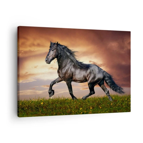 Canvas picture - A black horse galloping against the setting sun - 70x50cm - Black Prince - Modern wall decoration for the living room and bedroom ARTTOR