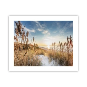 Poster - Northern Beach - 50x40 cm