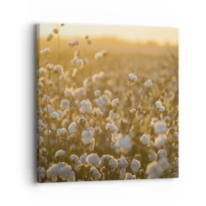 Canvas picture - Fluffy Field - 40x40 cm