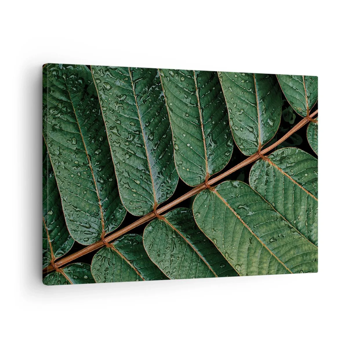 Canvas picture - Macro shot of green leaves with dew drops - 70x50cm - In Green Rhythm - Modern wall decoration for the living room and bedroom ARTTOR