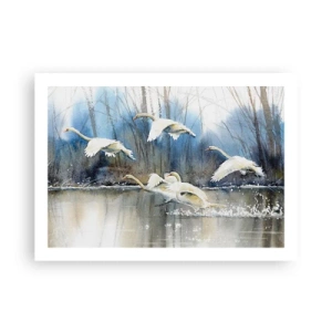 Poster - Like in a Fairy Tale about Wild Swans - 70x50 cm