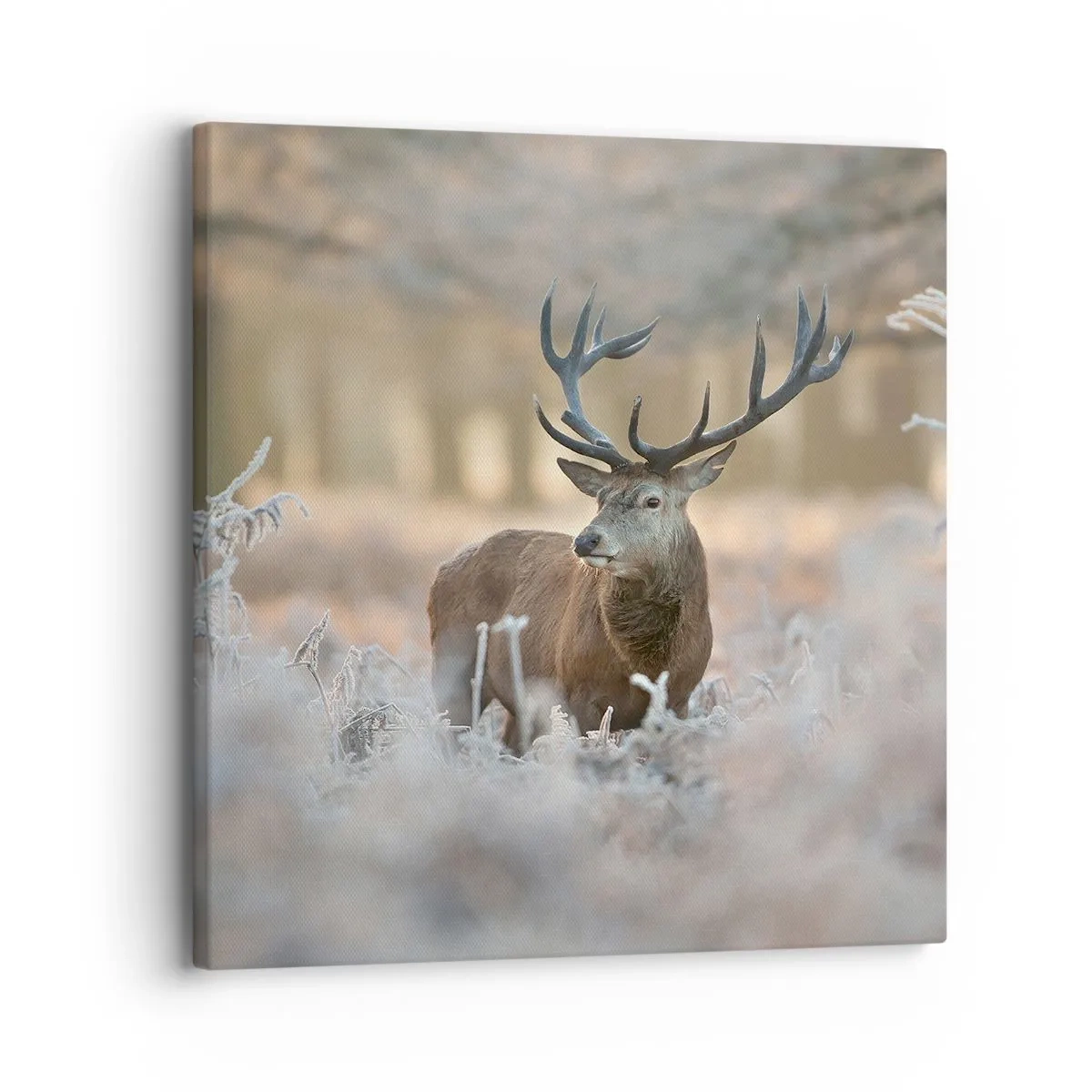 Canvas picture - Chilly Morning - 30x30 cm