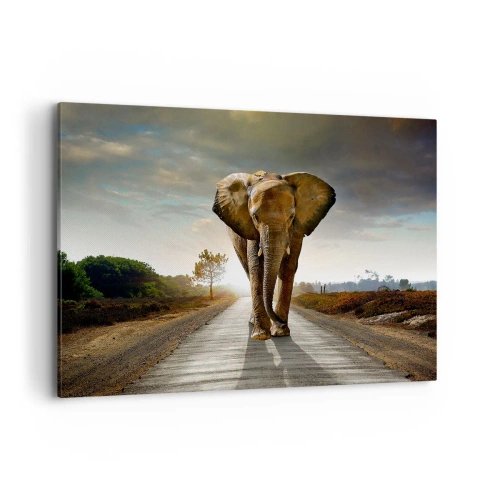 Canvas picture - Not in a China Shop - 100x70 cm