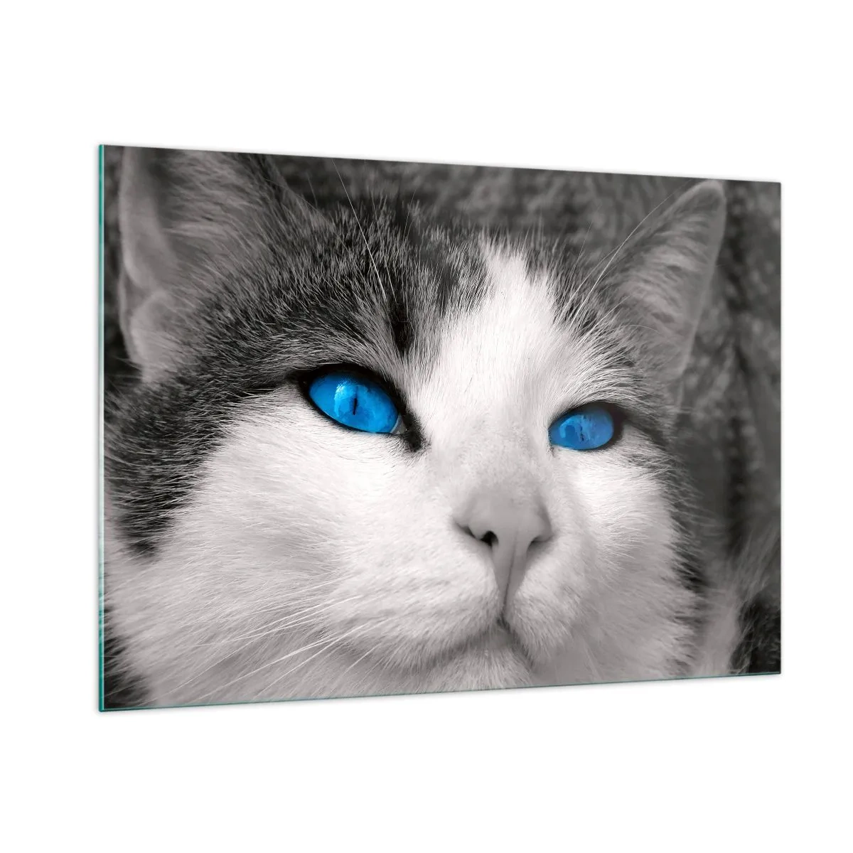 Glass picture - Extremely Blue-eyed - 100x70 cm