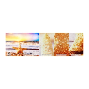 Photo Wallpaper Sample Premium Canvas - Sea Kiss - Starfish, Beach, Ocean - 100x30 cm