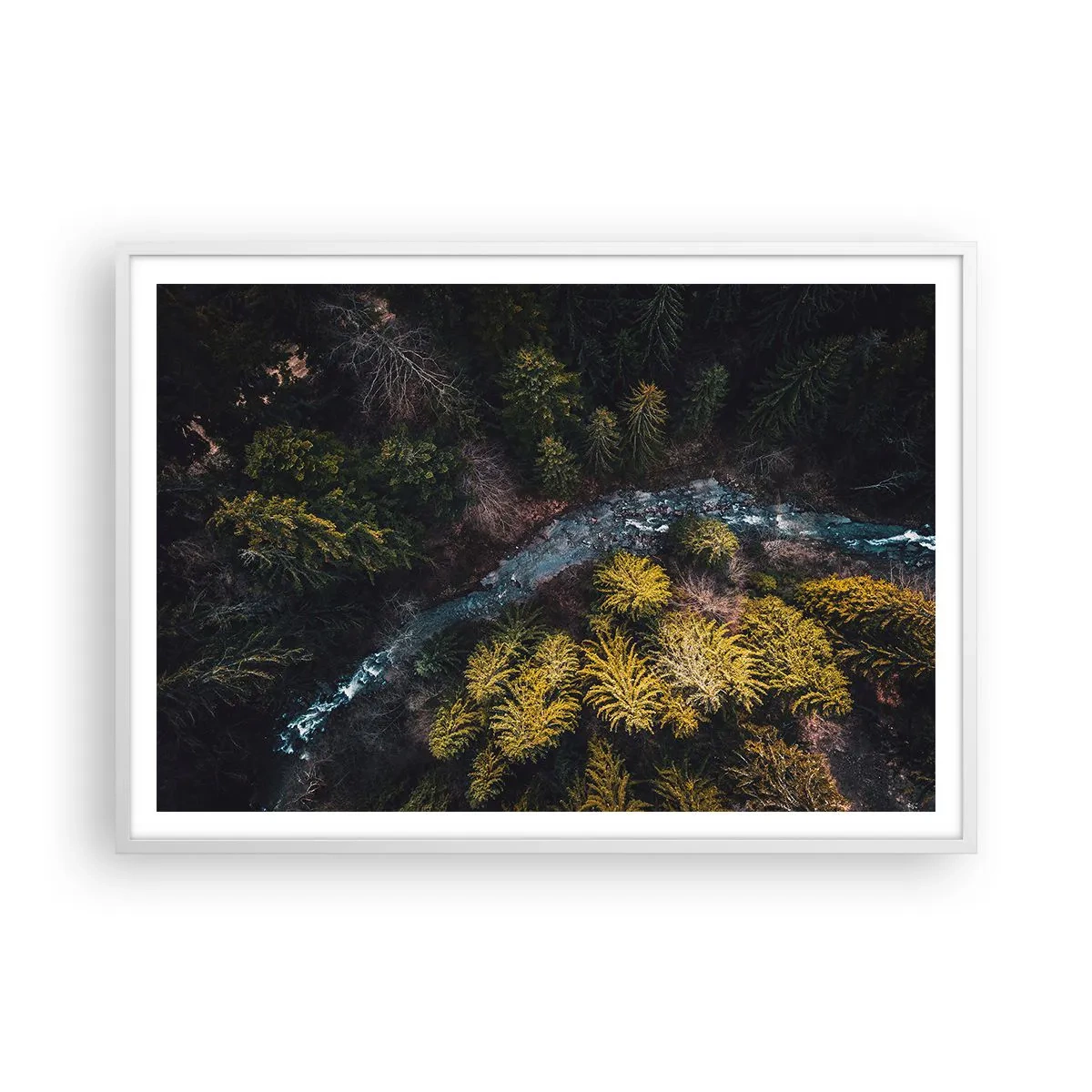 Poster in white frmae - Fast and Faster - 100x70 cm