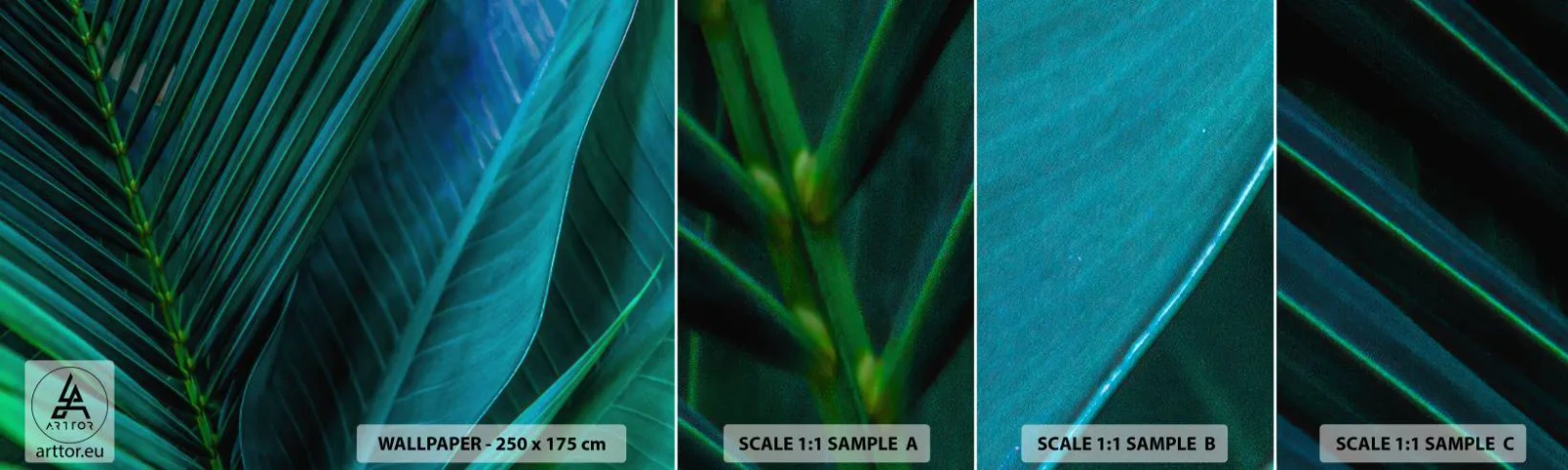 Photo Wallpaper Sample Standard Eco - Anatomy of Green - Green leaves, Tropical Plant, Nature - 100x30 cm