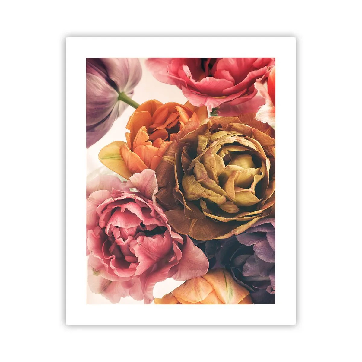 Poster - Celebration of Life - 40x50 cm