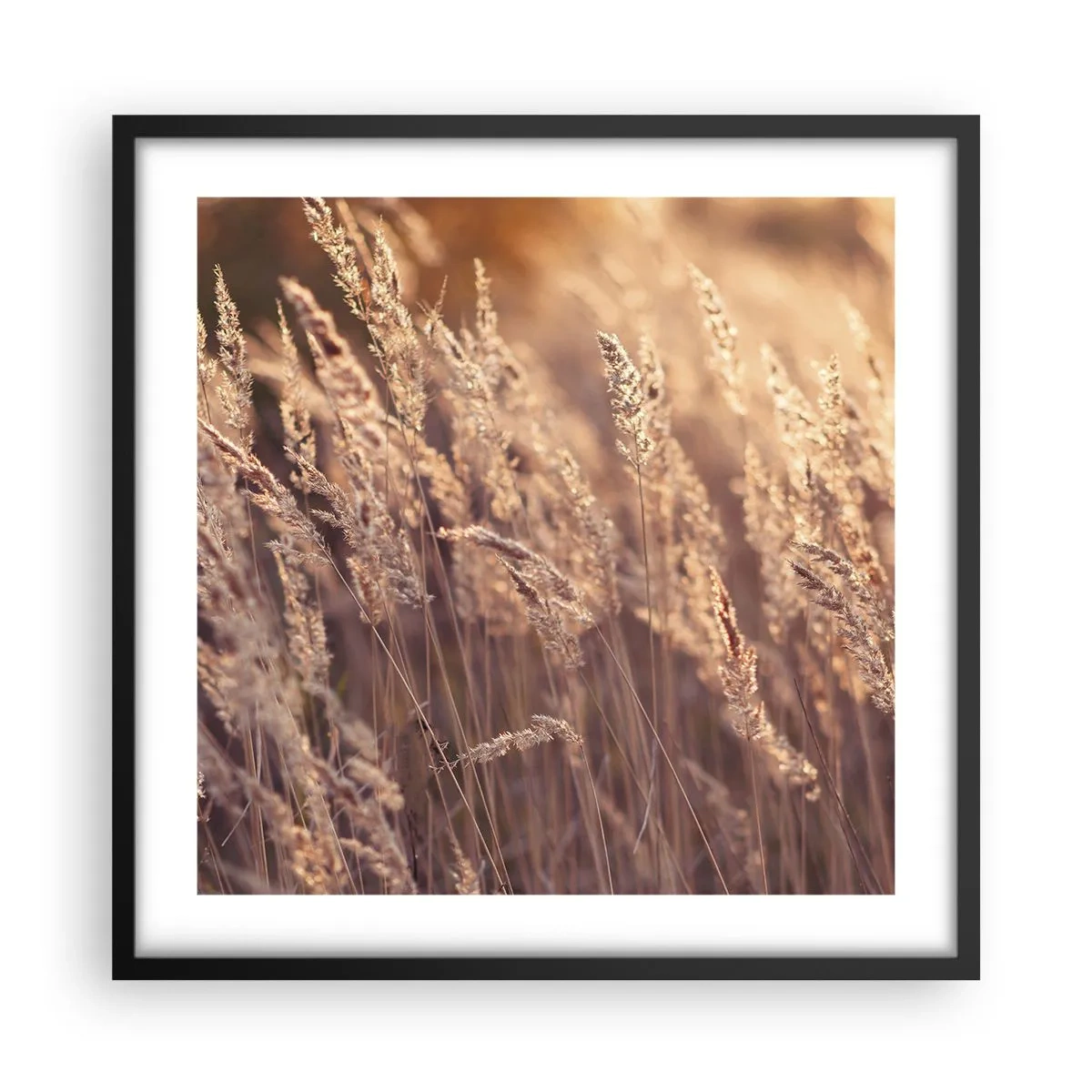 Poster in black frame - Ready to Welcome Autumn - 50x50 cm