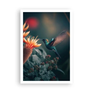 Poster - Really Colourful Life - 70x100 cm