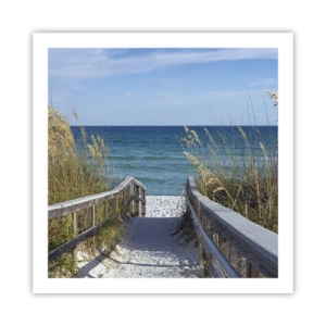 Poster - In the Sun, out in the Wind - 60x60 cm
