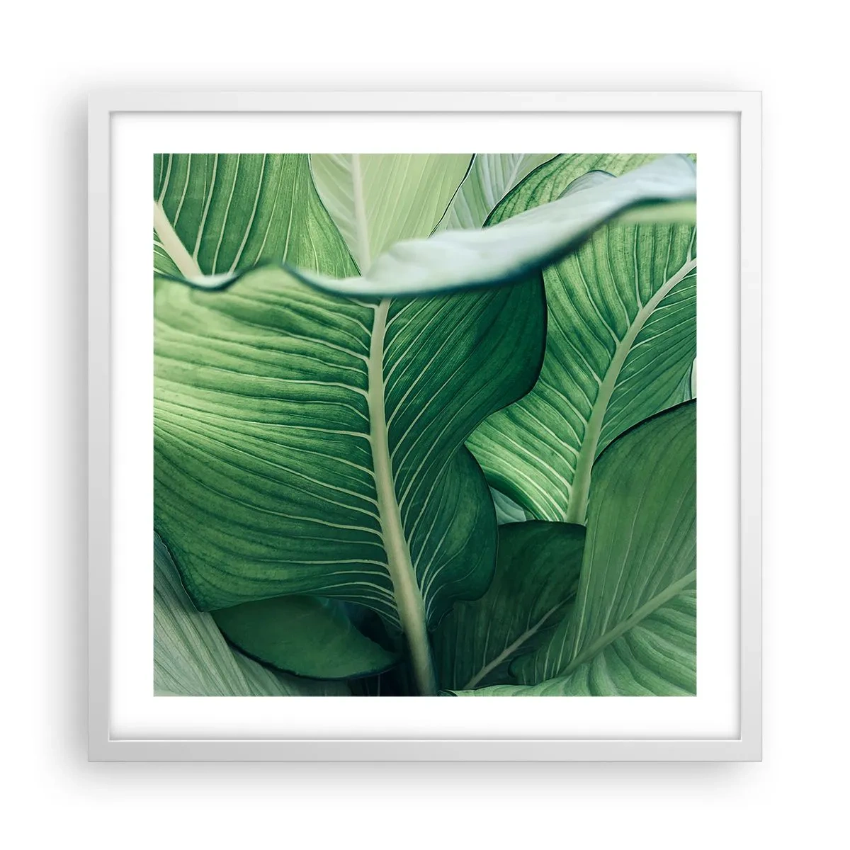 Poster in white frmae - Life in Intense Green Colour - 50x50 cm