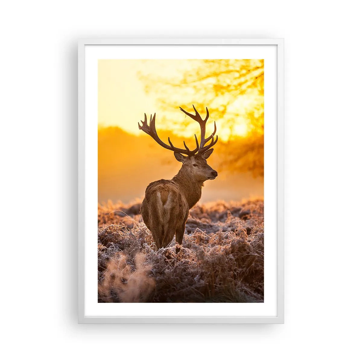Poster in white frmae - King of Autumnal Forest - 50x70 cm