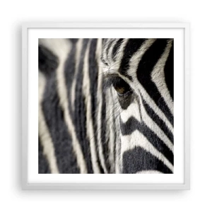 Poster in white frmae - Striped Portrait - 50x50 cm