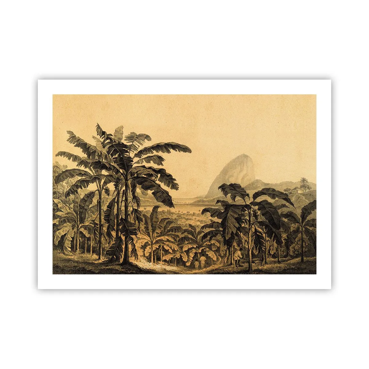 Poster - In Colonial Character - 70x50 cm