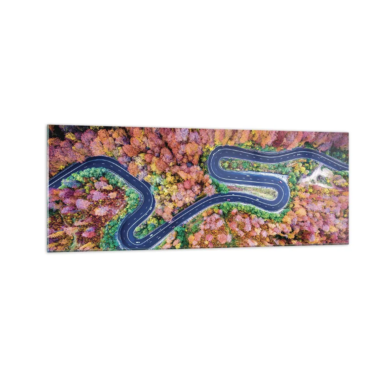Glass picture - Winding Path through a Forest - 140x50 cm