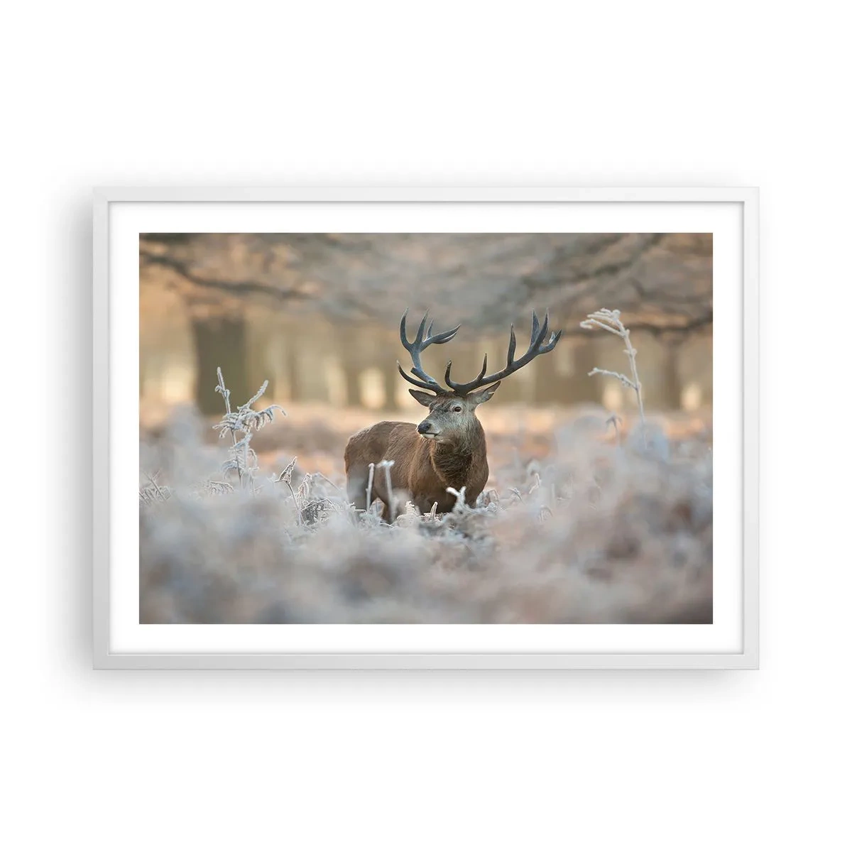 Poster in white frmae - Chilly Morning - 70x50 cm