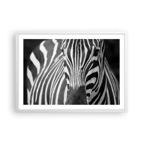 Poster in white frmae - World Is Black and White - 70x50 cm