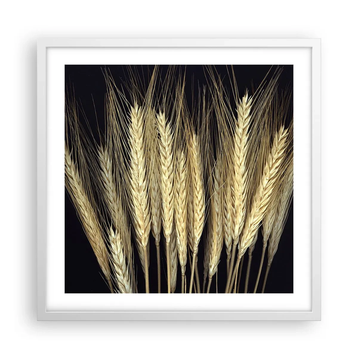 Poster in white frmae - Rustic Magic - 50x50 cm