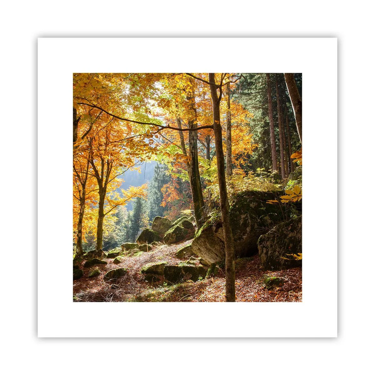 Poster - Time for Rest - 30x30 cm