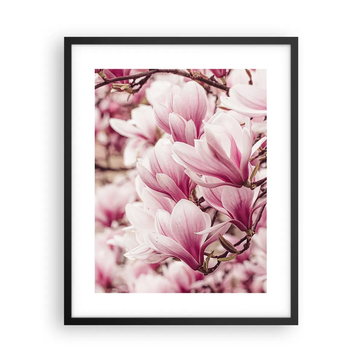 Poster in black frame - Spring is Pink - 40x50 cm