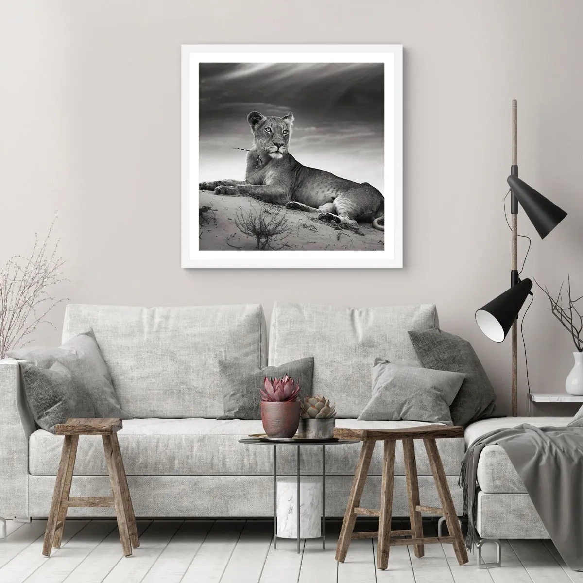 Poster in white frmae - Queen of Desert Is Resting - 40x40 cm